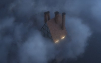 What storks really do in Winter