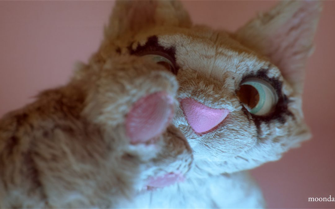 Cuddles – Part I – Hi I’m Cuddles