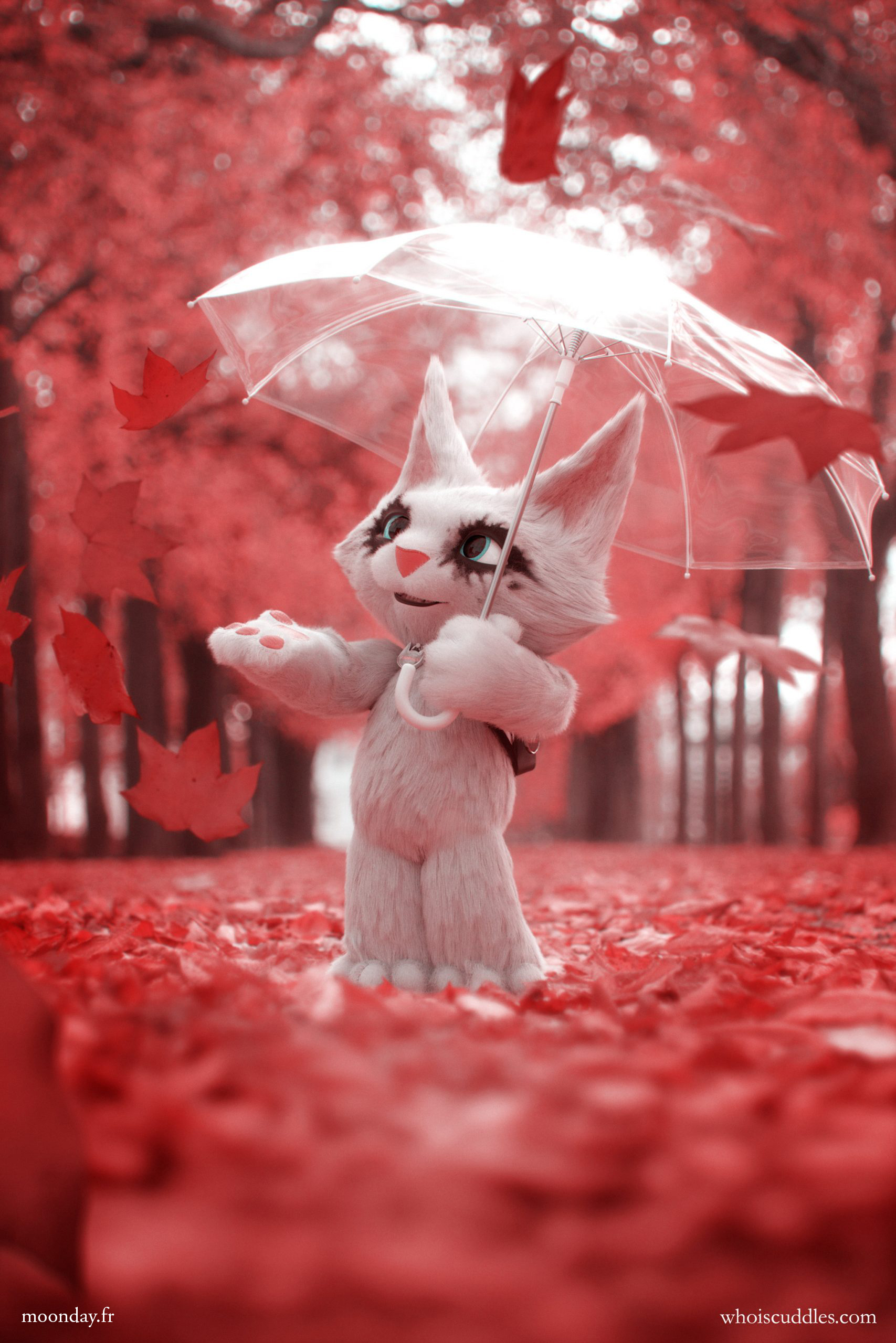 nicolas-brunet-ci-13-scaled